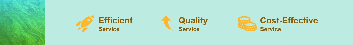 The advantages of our services.