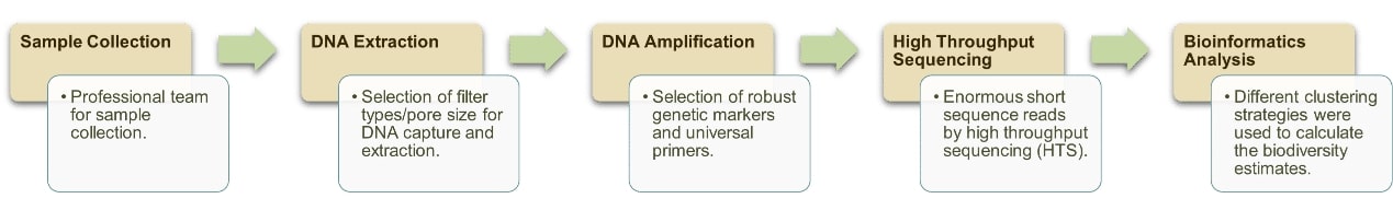 Project Workflow of DNA-based aquatic algae biodiversity monitoring.