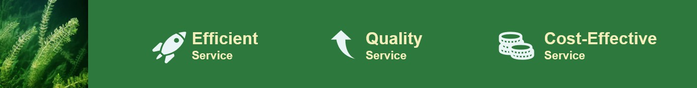 The advantages of our services.