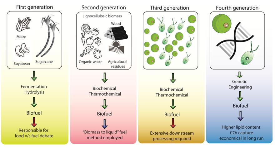 Generations of biofuels.