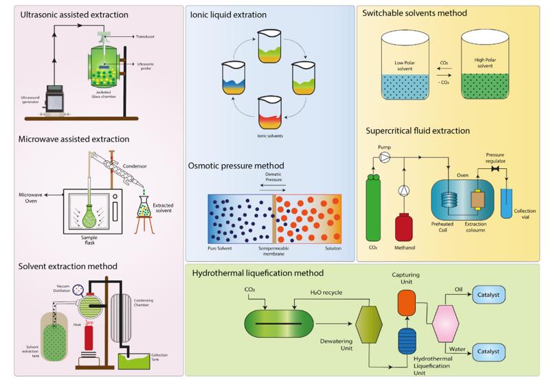 Different lipid extraction techniques for algae.Different lipid extraction techniques for algae.