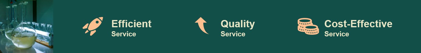 The advantages of our services.