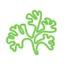 Icon of algae.