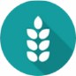 The icon of bio-stimulants.