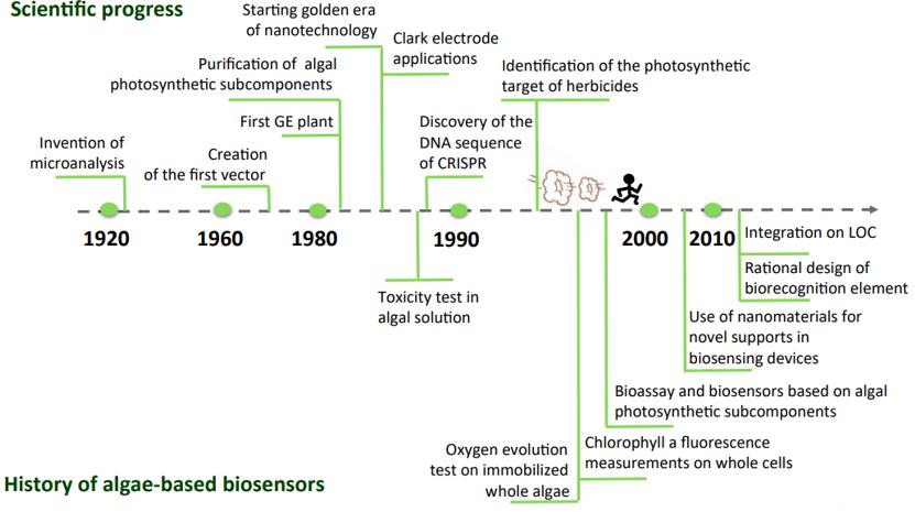 Development of Algae-Based Biosensor Technology.