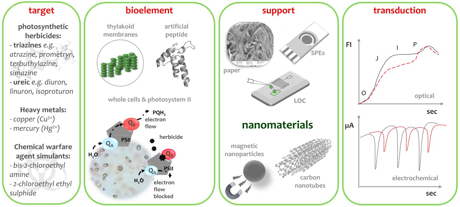 Fig.1 Schematic representation of an algae-based biosensor.