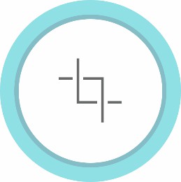 The icon of dual transduction.