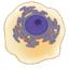Fig.3 Small icon of a eukaryotic cell.