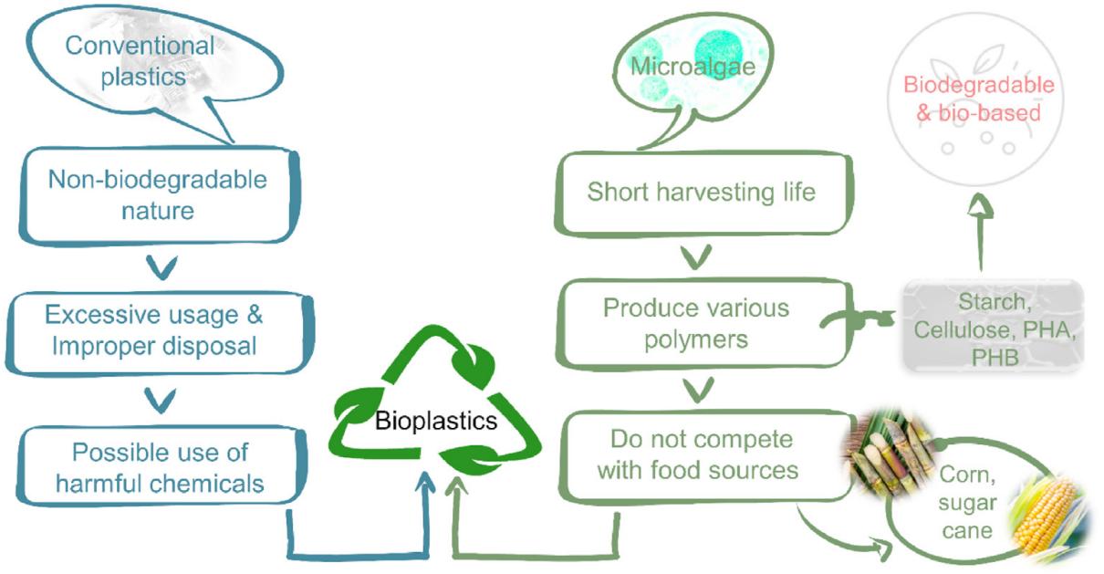Fig.1 Advantages of microalgae production of bioplastics.