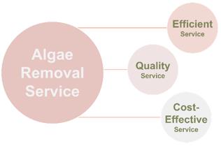 Fig.5 The advantages of our services.