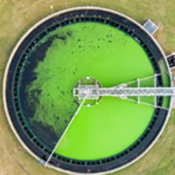 Fig.5 Industrial cultivation of algae.