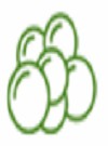 The icon of lipid.