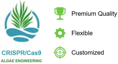 Fig.7 Illustration of our services advantages.