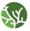 Algae icon