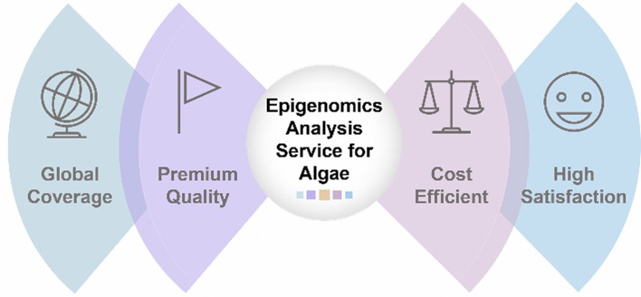 The advantages of our services.