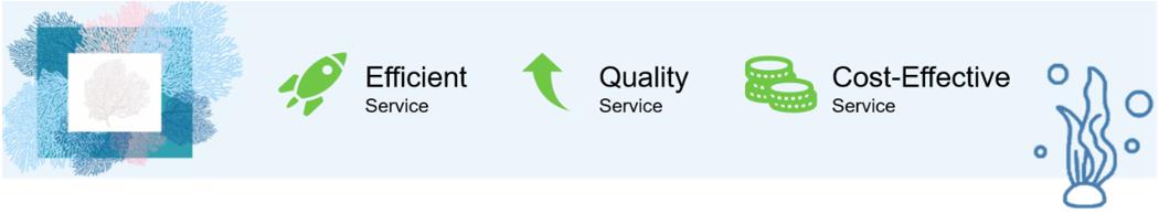 Fig.8 Illustration of our services advantages.