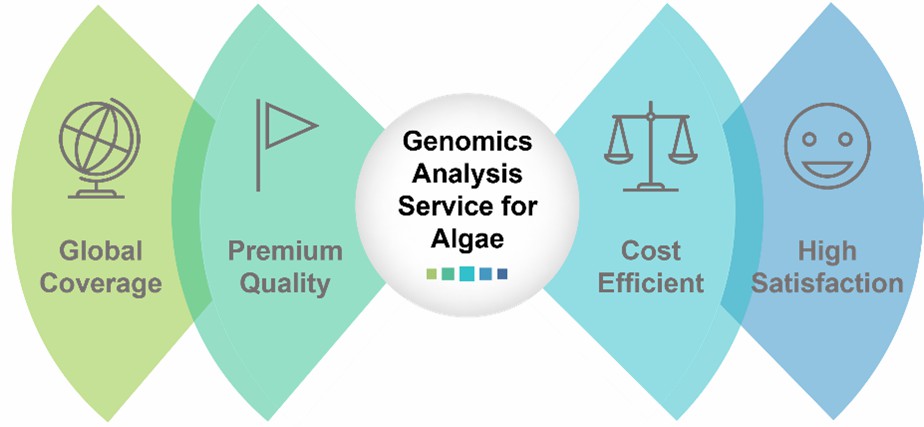 The advantages of our services.