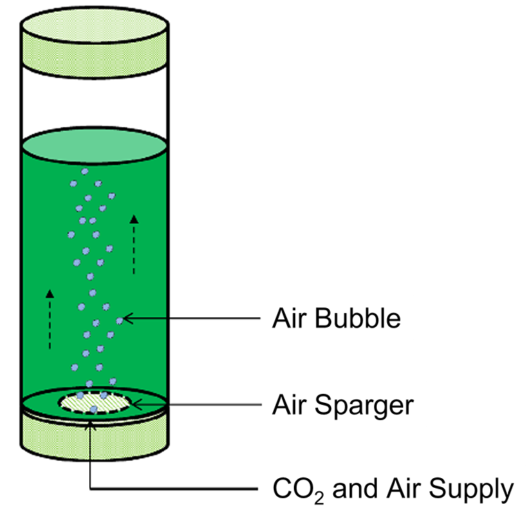 Schematic of a bubble column photobioreactor.
