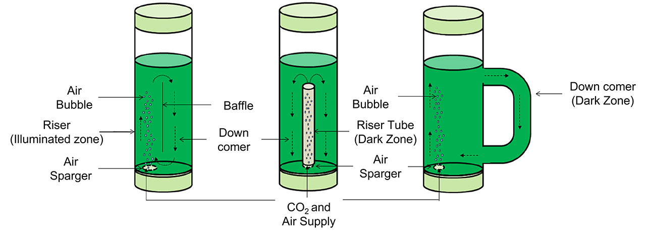 Schematics of airlift photobioreactors.