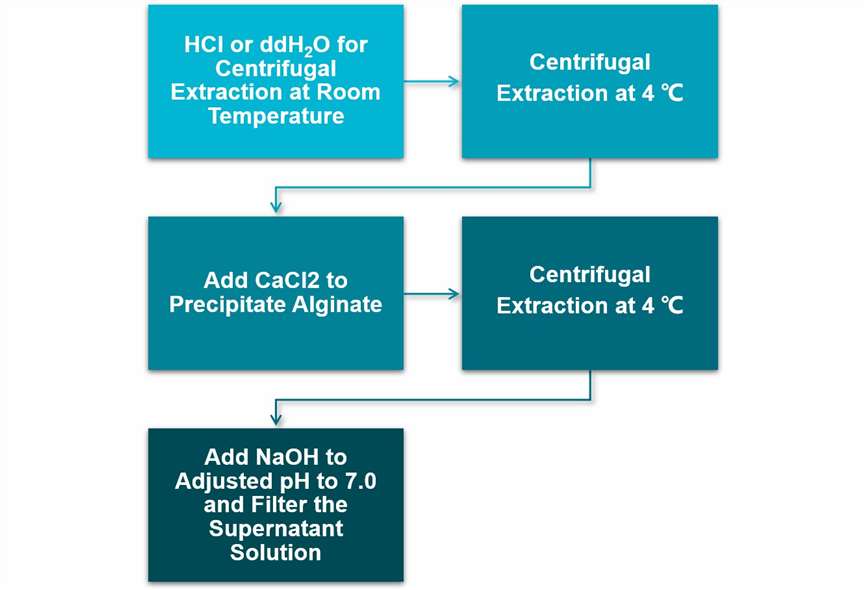 Flow chart of mannitol extraction from algae.
