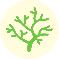 Small icon of algae.