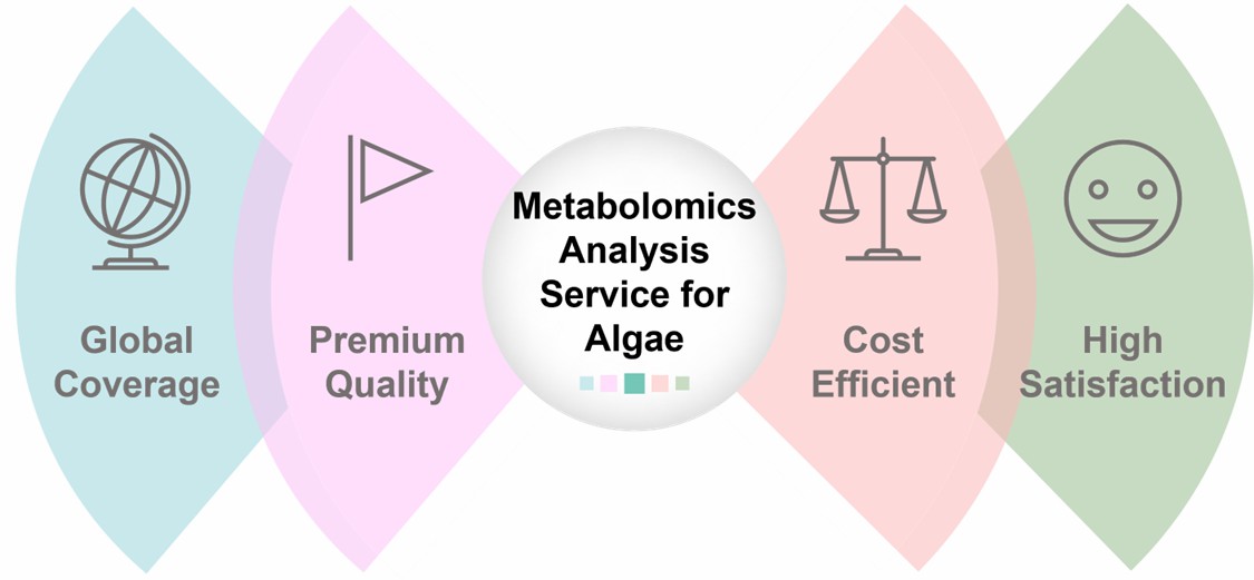 The advantages of our services.