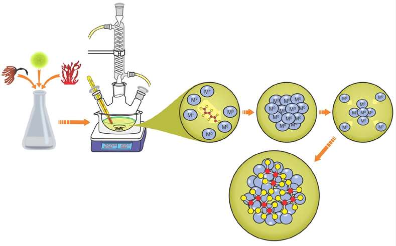 Fig.2 Mechanism of synthesis of nanomaterials from algae.