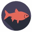 The icon of fish.