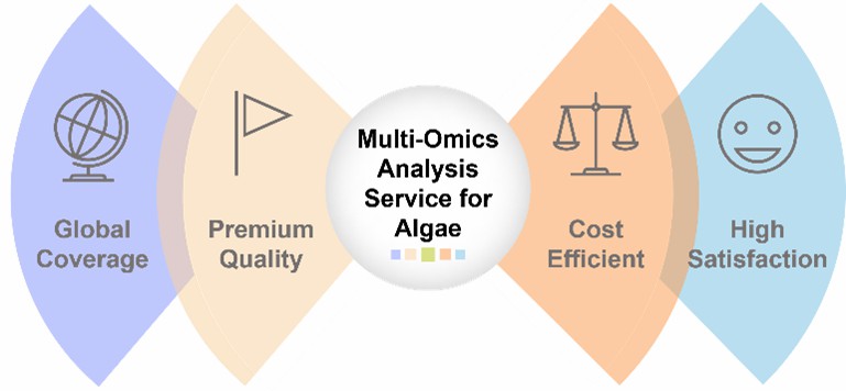 The advantages of our services.