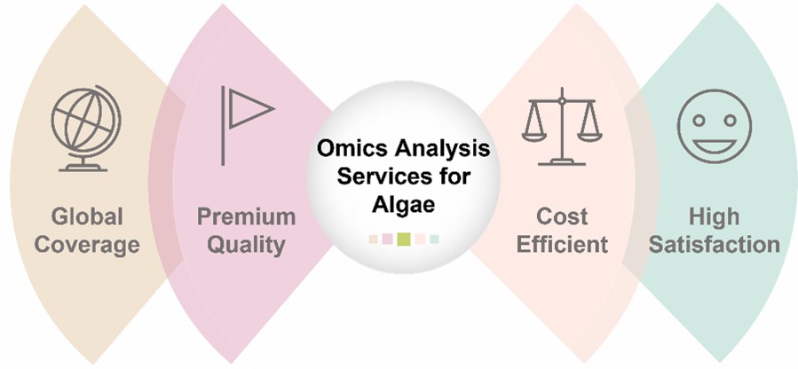 The advantages of our services.