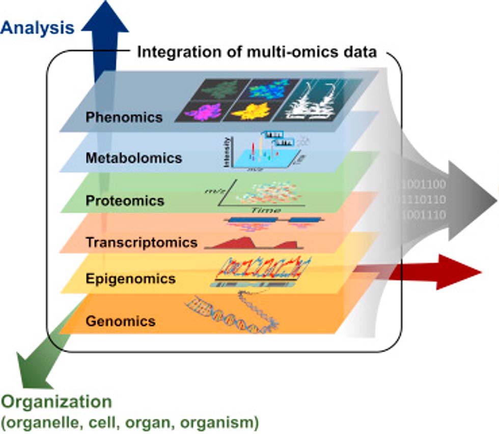 Five omics studies of algae.