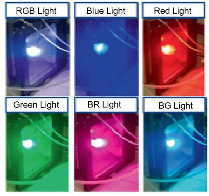 Fig.1 Illustration of applying different kinds of spectral light.