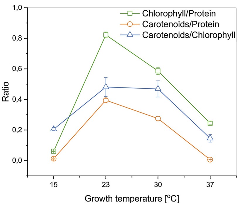 Fig.2 Relative ratios of photosynthetic pigments to protein in Anabaena cells for 7 days.