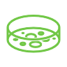 The icon of analysis for algal reactive oxygen species.