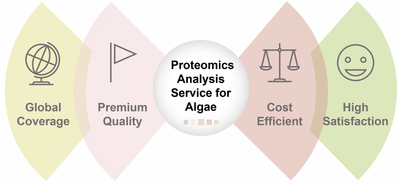 The advantages of our services.