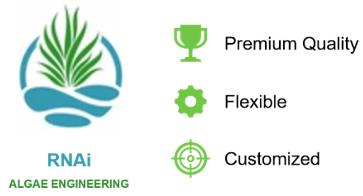 Fig.8 Illustration of our services advantages.