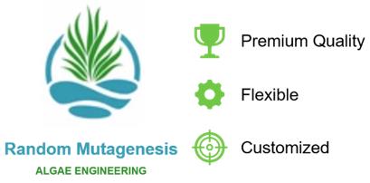 Fig.6 Illustration of our services advantages.