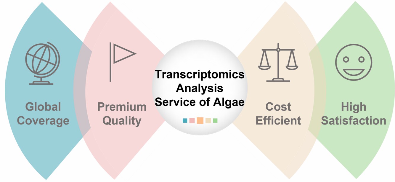 The advantages of our services.
