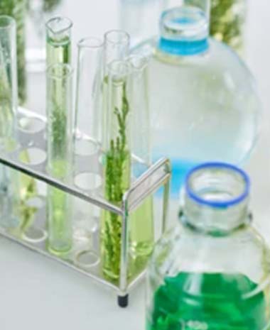 Reagents and Kits