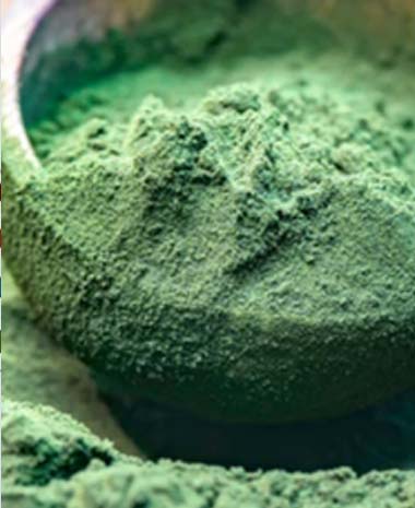 Algae Extracts