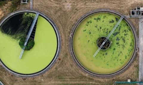 Environmental Science and Renewable Energy