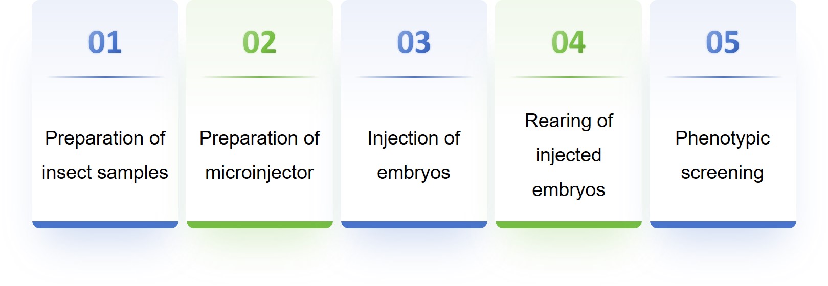 Technical process of gene editing in Harpegnathos saltator - Lifeasible