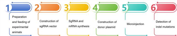 Technical process of gene editing in Bacillus thuringiensis - Lifeasible