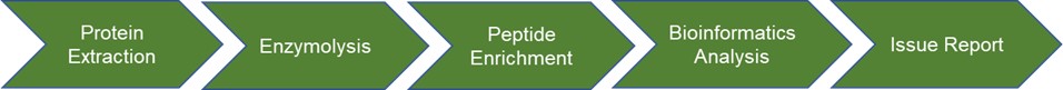Fig 1. Service flow for acetylation and other acylation analysis for insect proteins- Lifeasible.