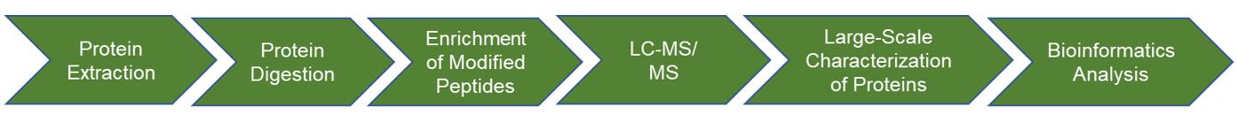 Service flow for the analysis protein modification expression profiles in insects.