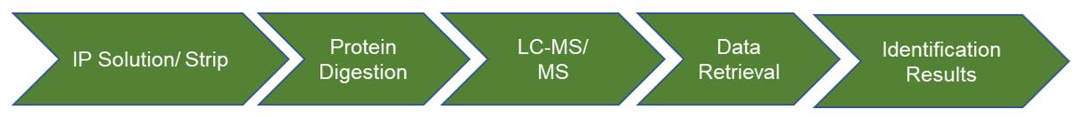 Service flow for the analysis of insect protein modification sites.