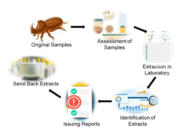 Fig 2. Service flow for extraction of medicinal components from insects-Lifeasible.
