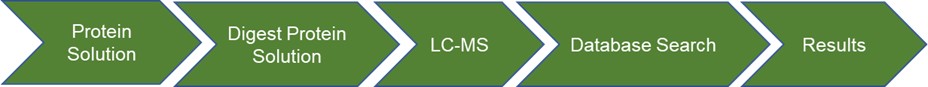 Fig 1. Service flow for the identification of interacting insect proteins by mass spectrometry- Lifeasible.