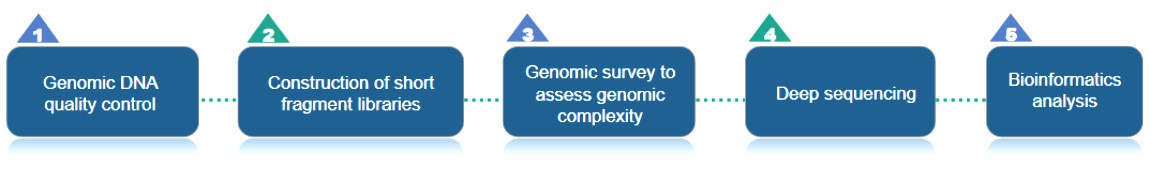 Our service workflow.