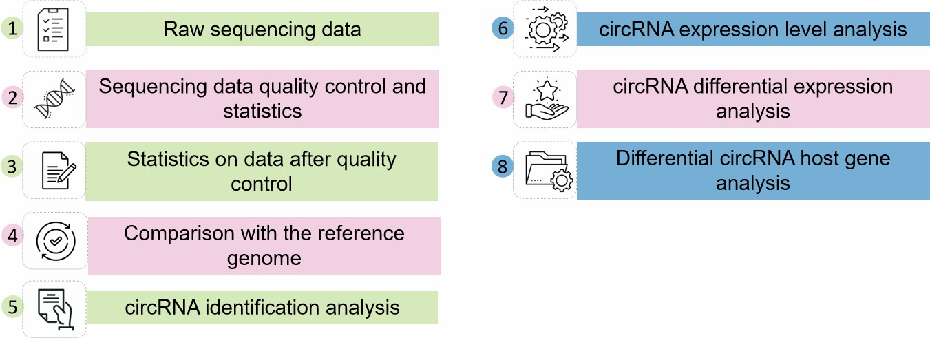 Process of testing.